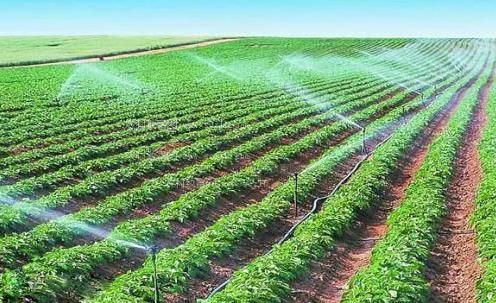 大鸡巴插屁眼视频农田高 效节水灌溉